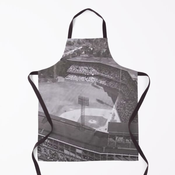 Item preview, forbes field,cathedral of learning,oakland neighborhood,old ballpark,old stadiums,pittsburgh baseball stadium designed and sold by Nostrathomas66.