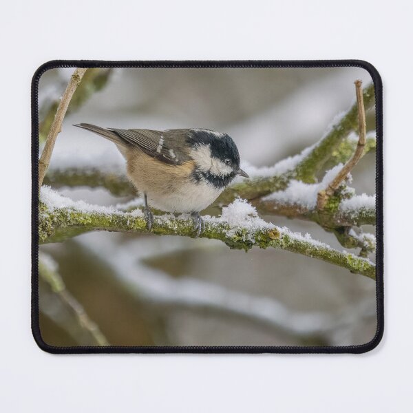 Item preview, coal tit in the snow designed and sold by AliMarleyPhoto.