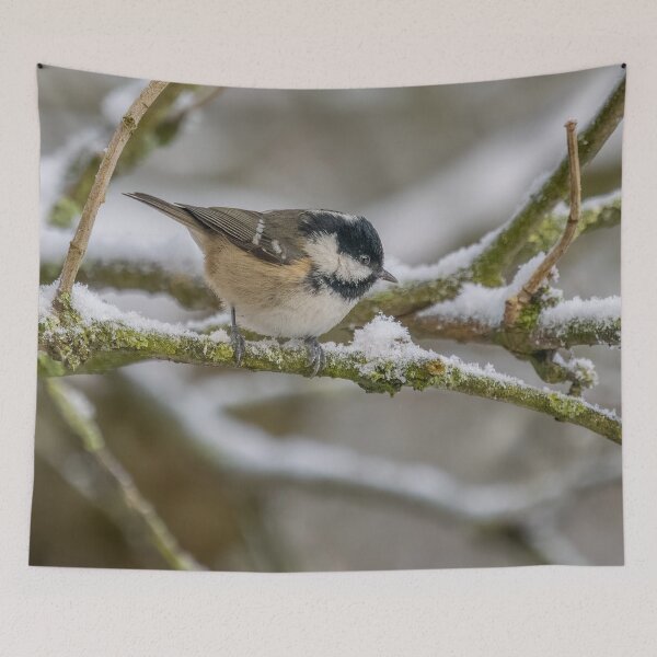 Item preview, coal tit in the snow designed and sold by AliMarleyPhoto.