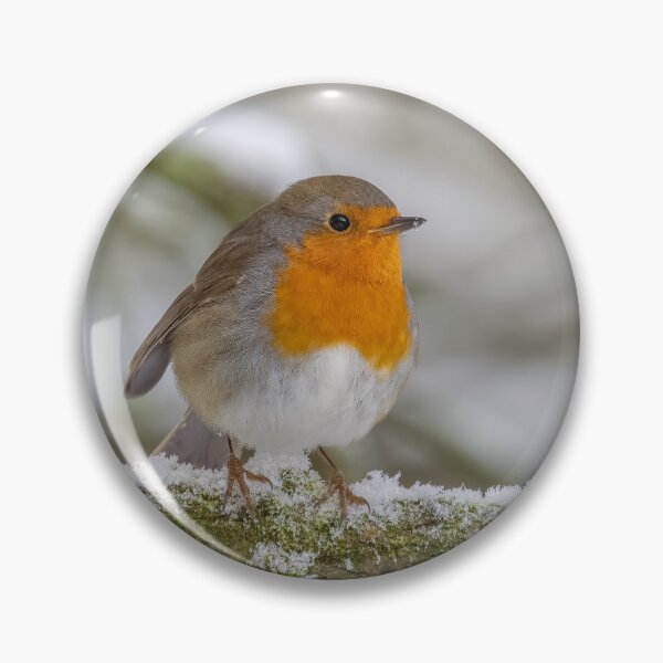 Item preview, robin in the snow designed and sold by AliMarleyPhoto.
