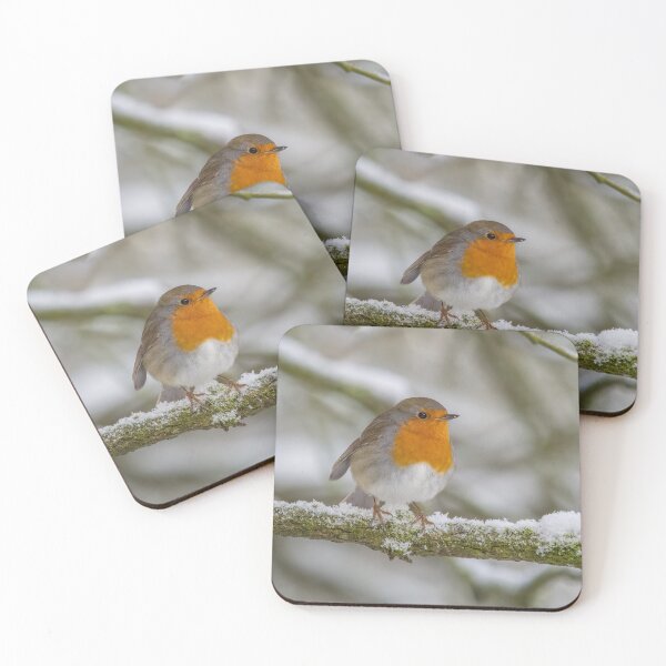 Item preview, robin in the snow designed and sold by AliMarleyPhoto.