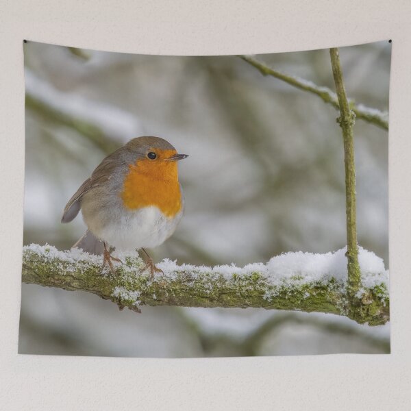 Item preview, robin in the snow designed and sold by AliMarleyPhoto.
