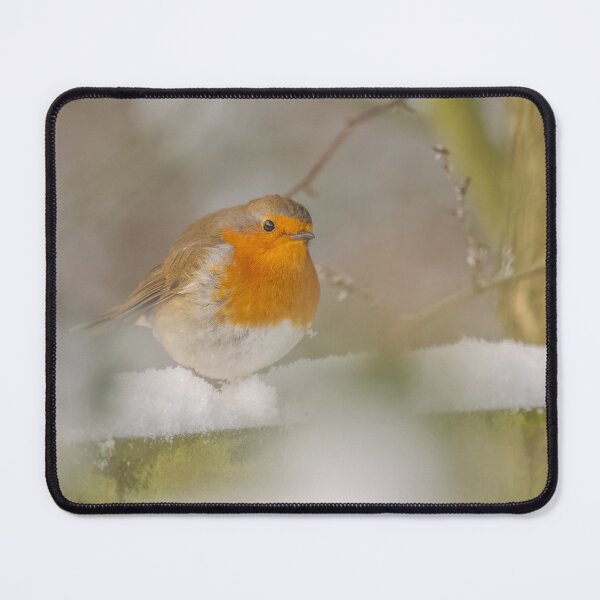 Item preview, robin in the snow designed and sold by AliMarleyPhoto.