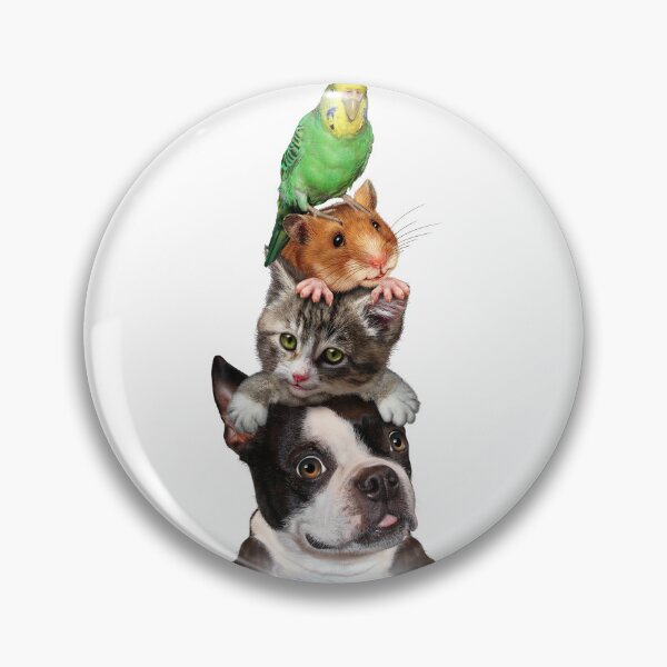 Item preview, My favorite pets || Lovely animals designed and sold by AstorAurora.