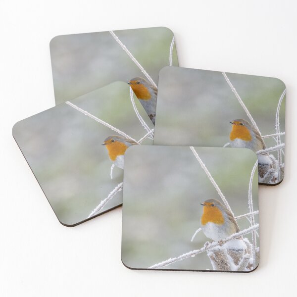 Item preview, robin on a snowy branch designed and sold by AliMarleyPhoto.