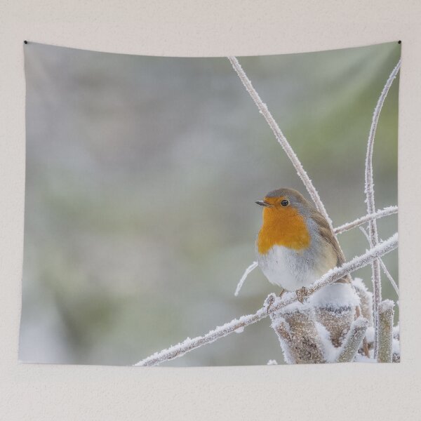 Item preview, robin on a snowy branch designed and sold by AliMarleyPhoto.