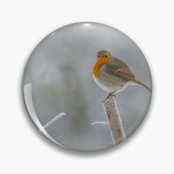 Item preview, frosty robin designed and sold by AliMarleyPhoto.