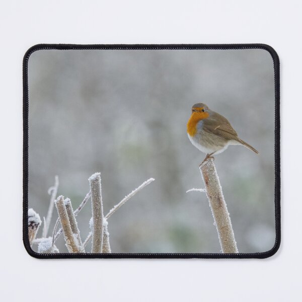 Item preview, frosty robin designed and sold by AliMarleyPhoto.