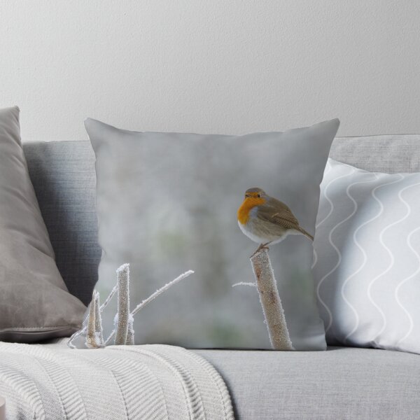 Item preview, frosty robin designed and sold by AliMarleyPhoto.