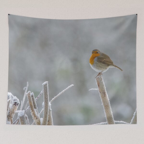 Item preview, frosty robin designed and sold by AliMarleyPhoto.