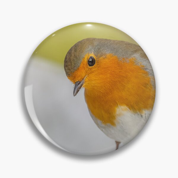Item preview, robin snow designed and sold by AliMarleyPhoto.