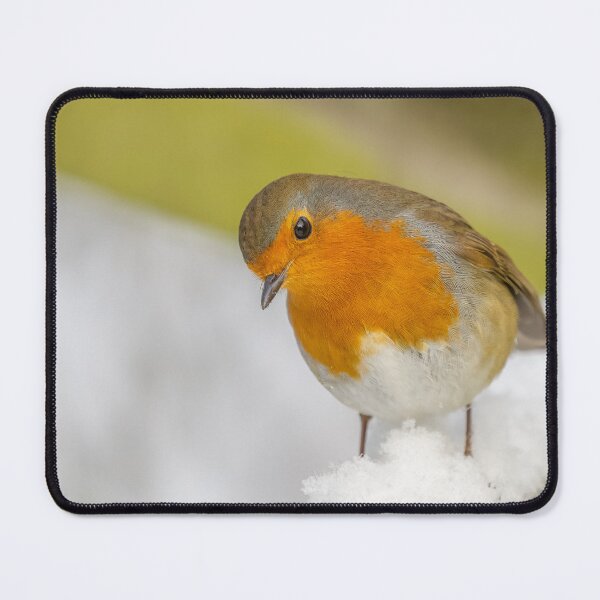 Item preview, robin snow designed and sold by AliMarleyPhoto.