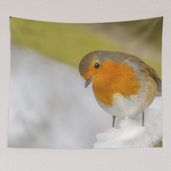 Item preview, robin snow designed and sold by AliMarleyPhoto.