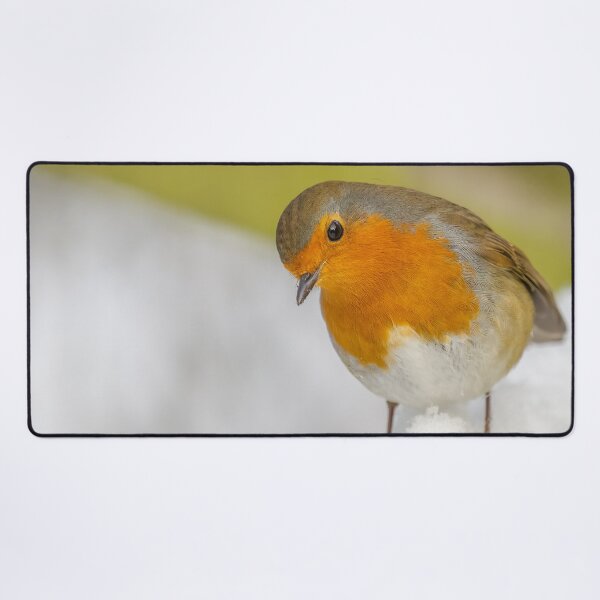 Item preview, robin snow designed and sold by AliMarleyPhoto.