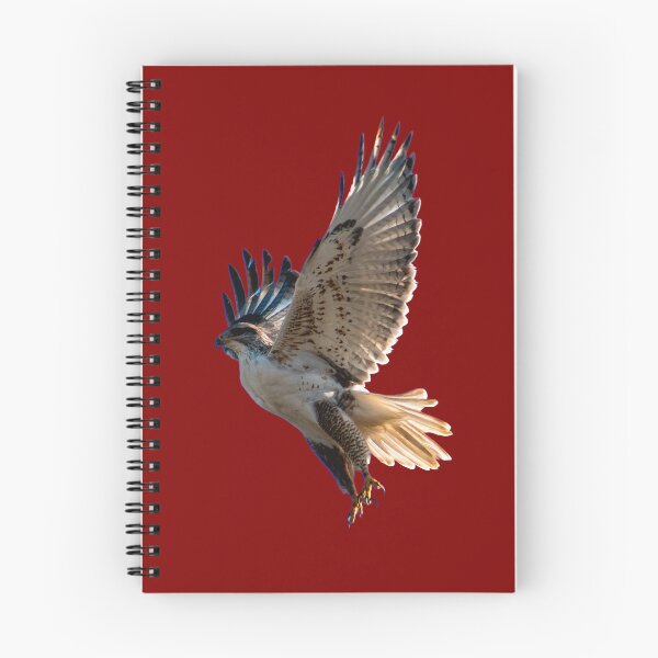 Item preview, brown hawk designed and sold by JD369.