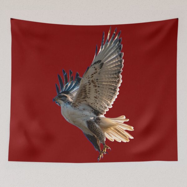 Item preview, brown hawk designed and sold by JD369.