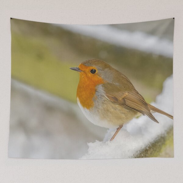 Item preview, snowy robin designed and sold by AliMarleyPhoto.
