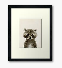 little raccoon Framed Print