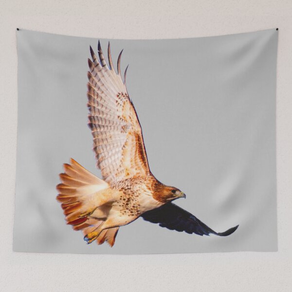 Item preview, hawk flying designed and sold by JD369.