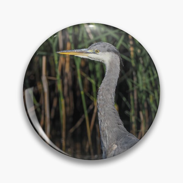 Item preview, heron pose designed and sold by AliMarleyPhoto.