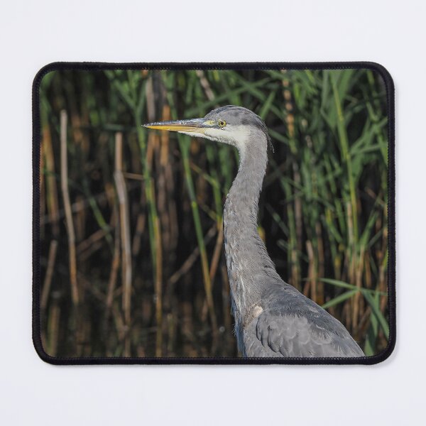 Item preview, heron pose designed and sold by AliMarleyPhoto.