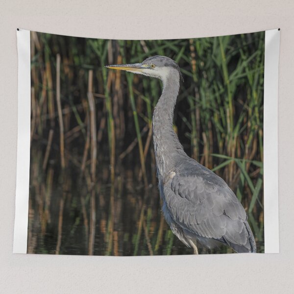 Item preview, heron pose designed and sold by AliMarleyPhoto.