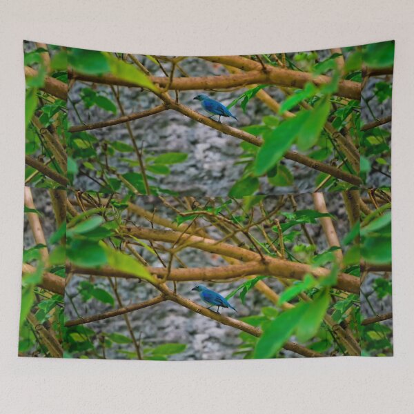 Item preview, This Blue-Grey Tanager Surveys The Yard designed and sold by alabca.