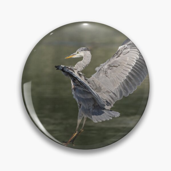 Item preview, heron landing designed and sold by AliMarleyPhoto.