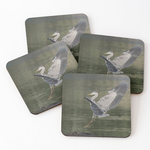 Item preview, heron landing designed and sold by AliMarleyPhoto.