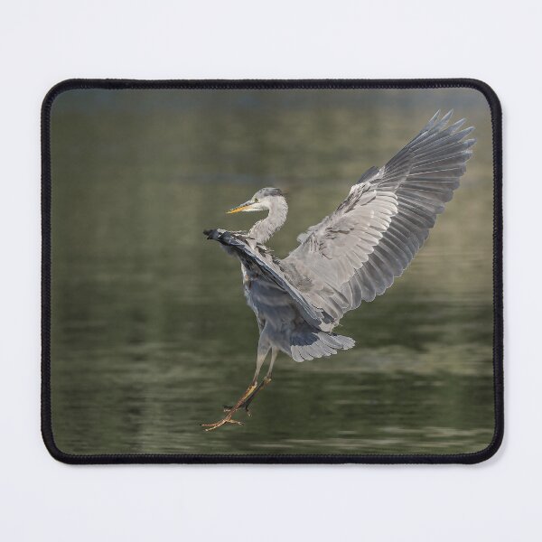 Item preview, heron landing designed and sold by AliMarleyPhoto.