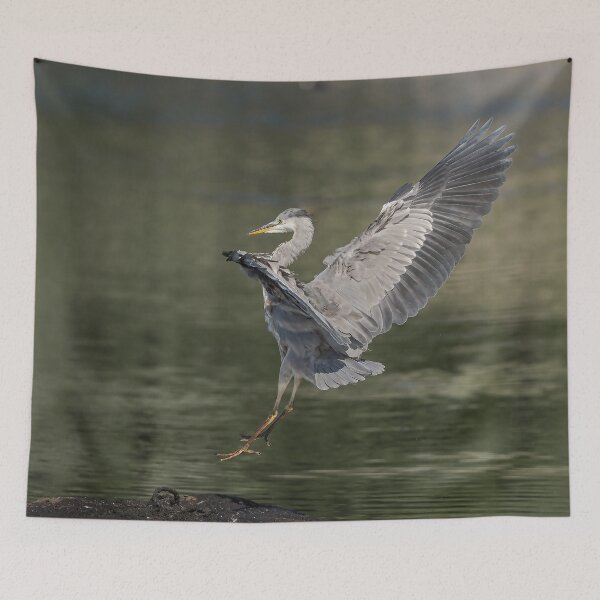 Item preview, heron landing designed and sold by AliMarleyPhoto.