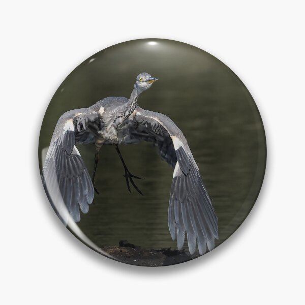 Item preview, heron take off designed and sold by AliMarleyPhoto.