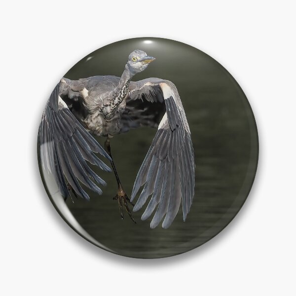 Item preview, heron take off designed and sold by AliMarleyPhoto.