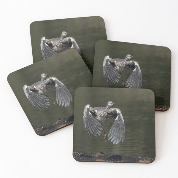 Item preview, heron take off designed and sold by AliMarleyPhoto.
