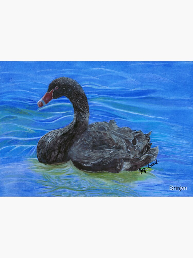 Another Resident of Lake Wendouree by Brinjen