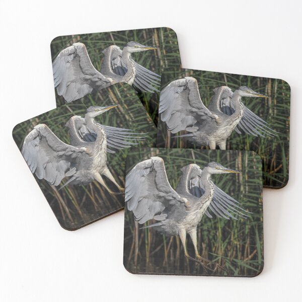 Item preview, heron coming into land designed and sold by AliMarleyPhoto.