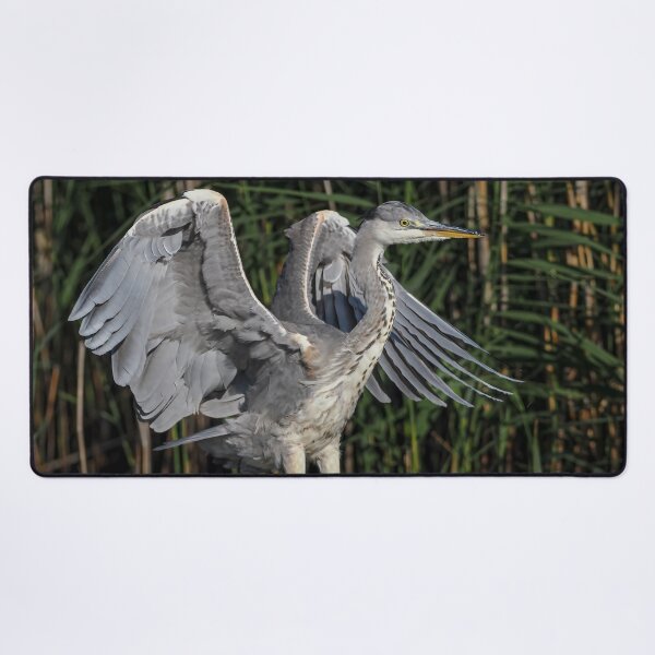 Item preview, heron coming into land designed and sold by AliMarleyPhoto.