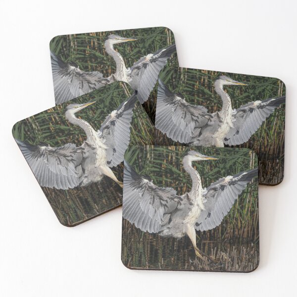 Item preview, heron landing designed and sold by AliMarleyPhoto.