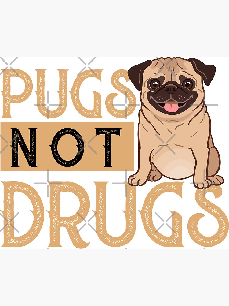 Pugs not drugs Funny dog meme NODRUGS
