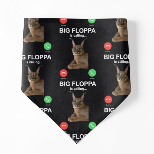 Big Floppa plush came today : r/bigfloppa