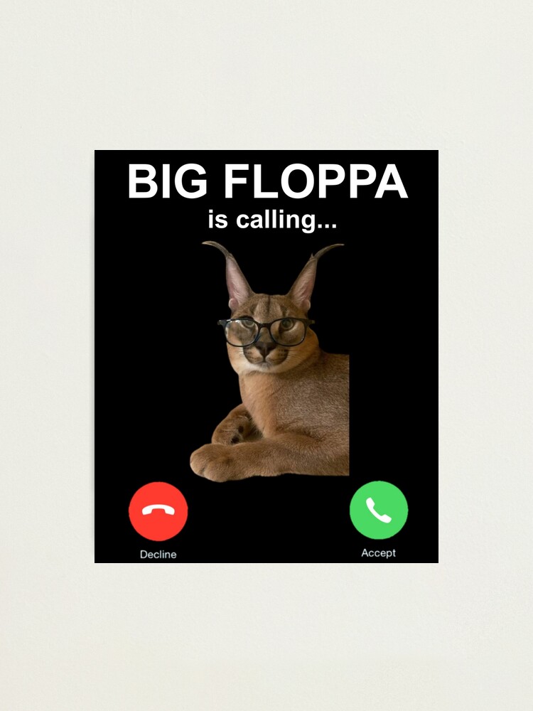 Big floppa sticker pack cat meme | Poster