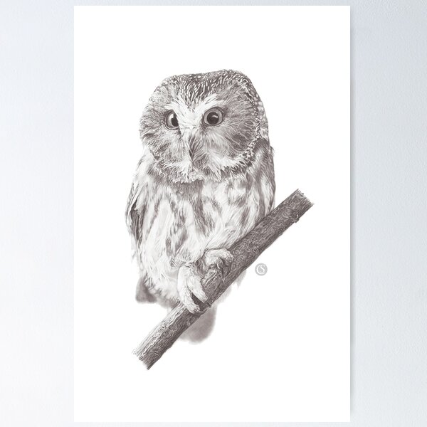 Item preview, The owl designed and sold by CSdrawing.