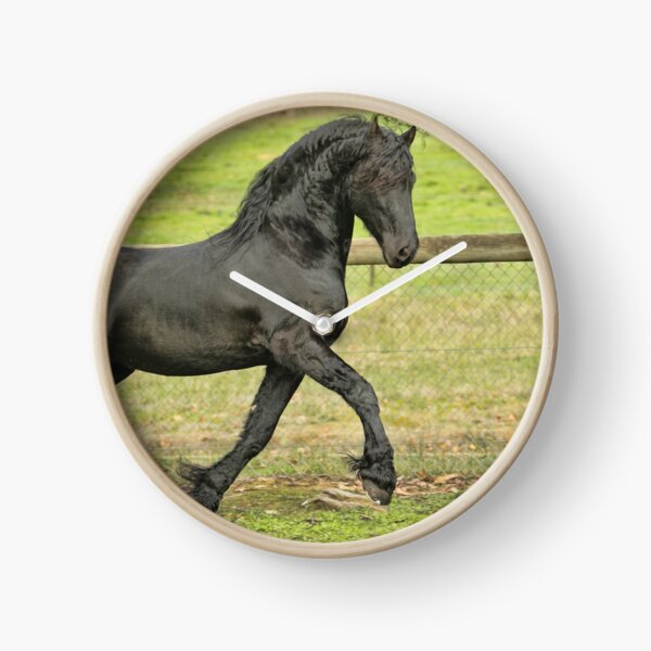 Item preview, Friesian Stallion Age B designed and sold by NadeenD.
