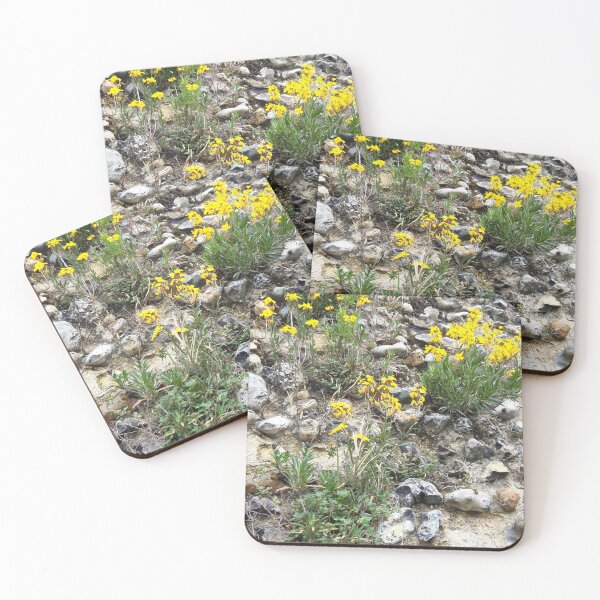 Item preview, Wallflowers  designed and sold by amanda150771.