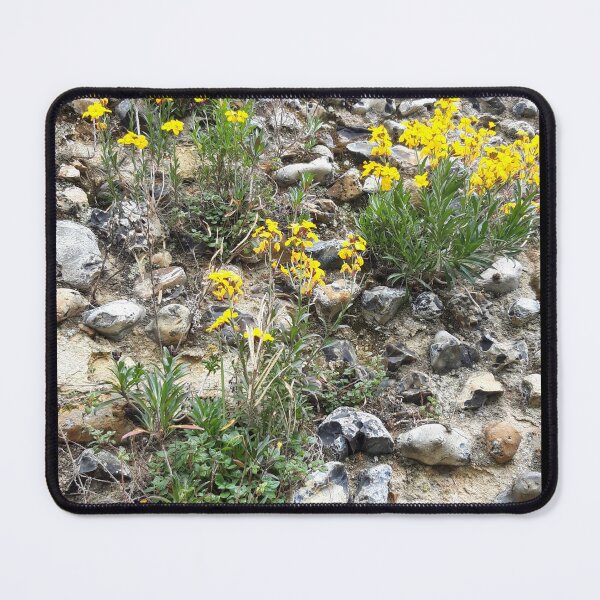 Item preview, Wallflowers  designed and sold by amanda150771.
