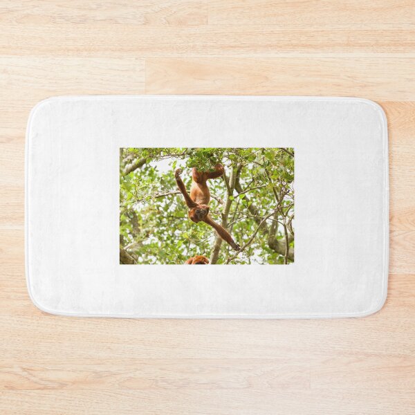 Item preview, Red Howler Monkey Hanging Around designed and sold by LFPPhotography.