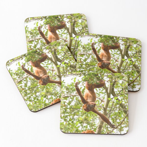 Item preview, Red Howler Monkey Hanging Around designed and sold by LFPPhotography.