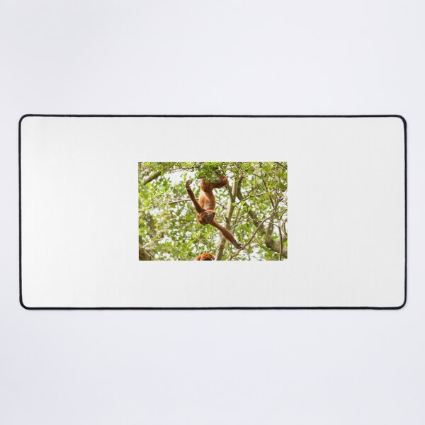 Item preview, Red Howler Monkey Hanging Around designed and sold by LFPPhotography.