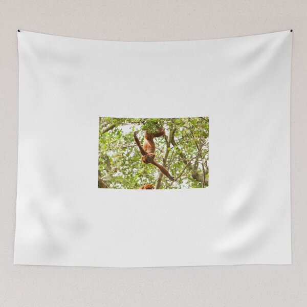 Item preview, Red Howler Monkey Hanging Around designed and sold by LFPPhotography.