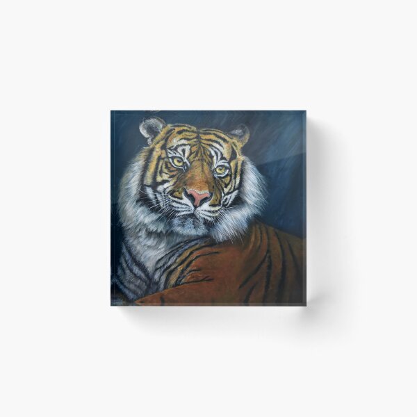 Item preview, Tiger - the Prince of Bengal  designed and sold by Debbie’s Sketchbook.